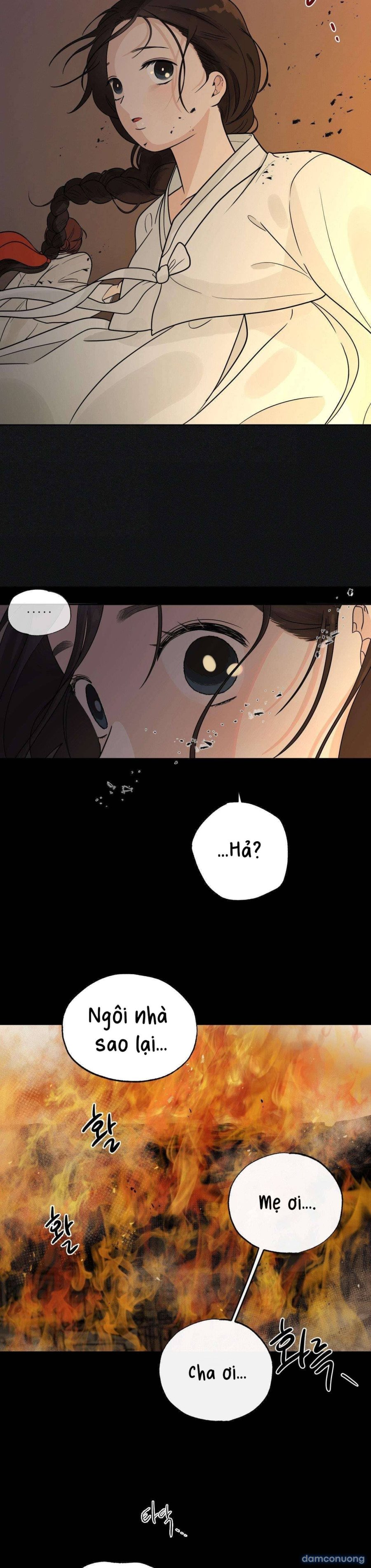 [ 18+ ] Bibisea 