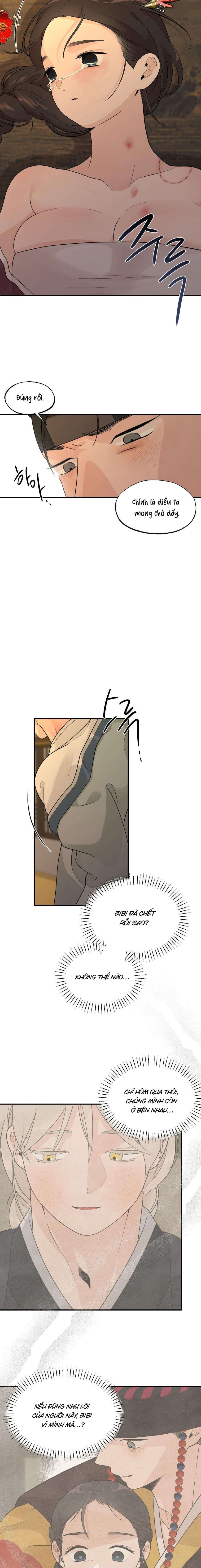 [ 18+ ] Bibisea 