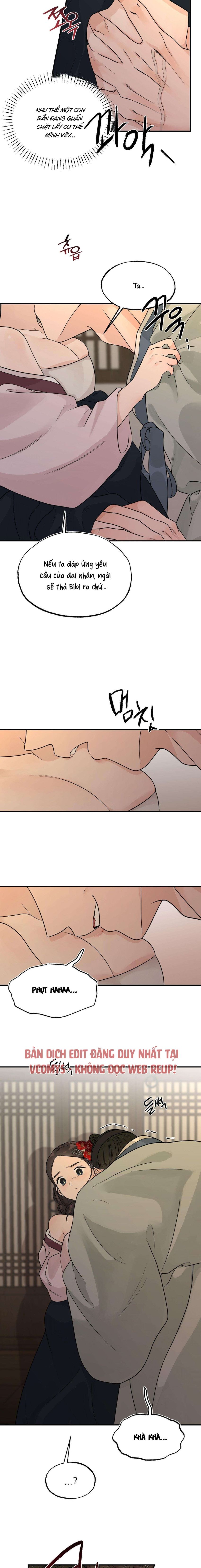 [ 18+ ] Bibisea 