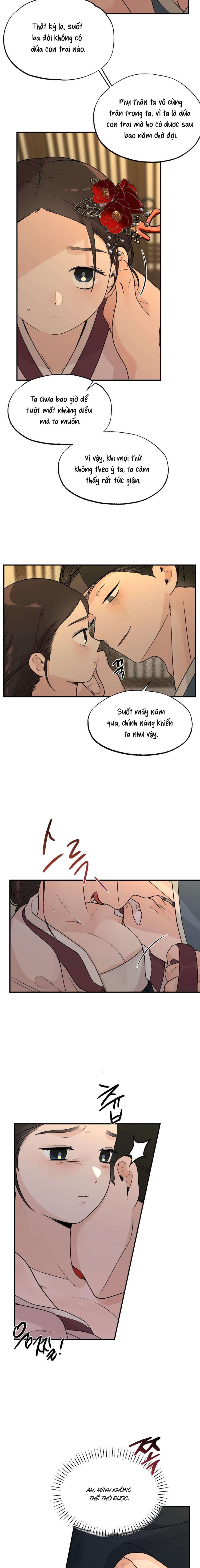 [ 18+ ] Bibisea 