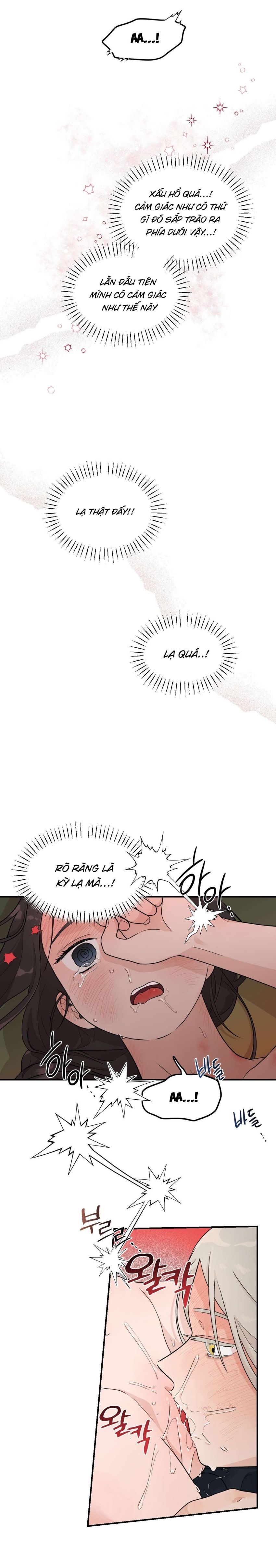 [ 18+ ] Bibisea 
