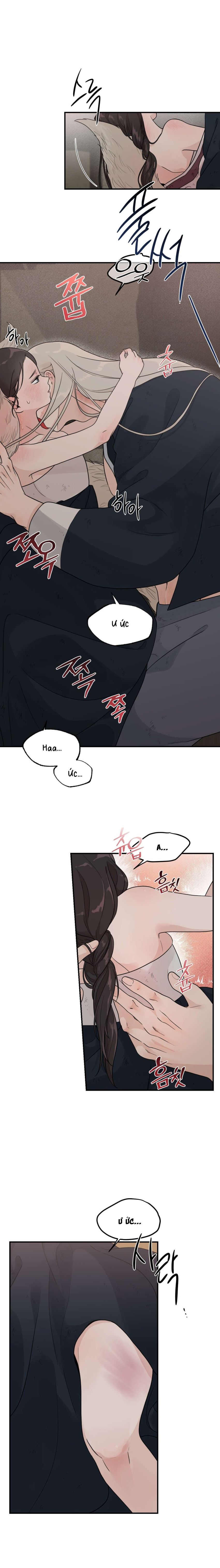 [ 18+ ] Bibisea 