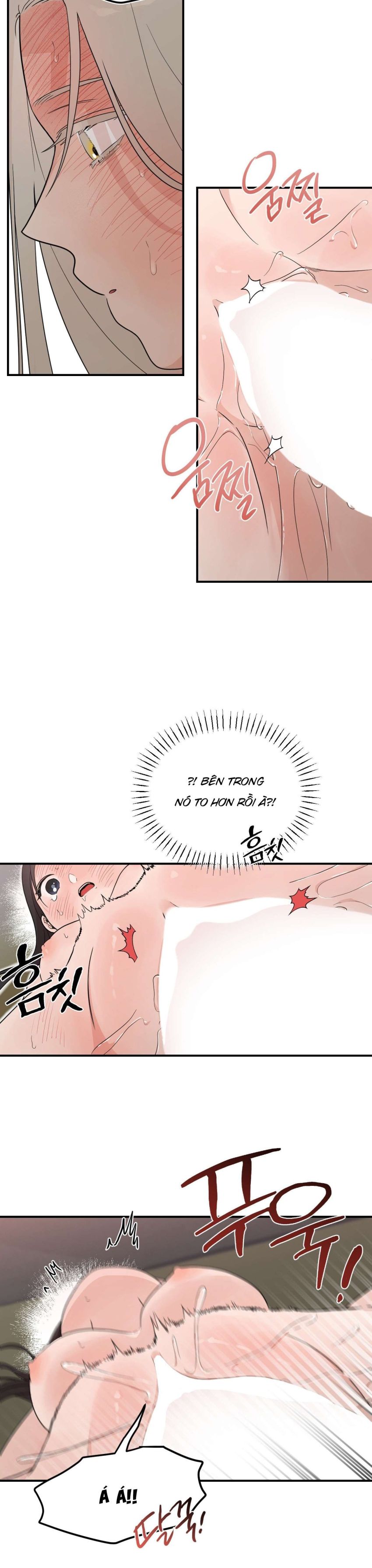 [ 18+ ] Bibisea 