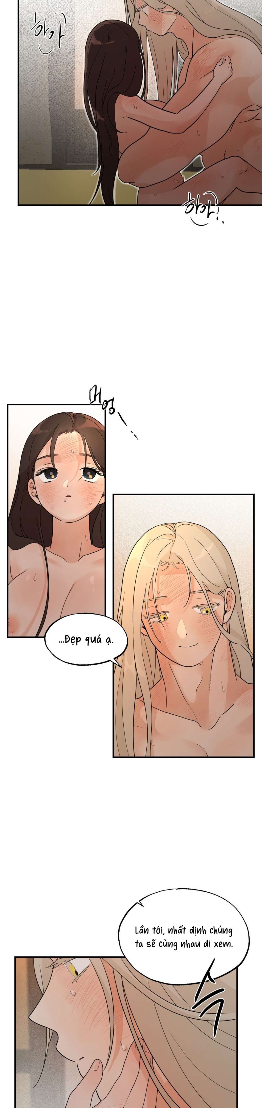 [ 18+ ] Bibisea 