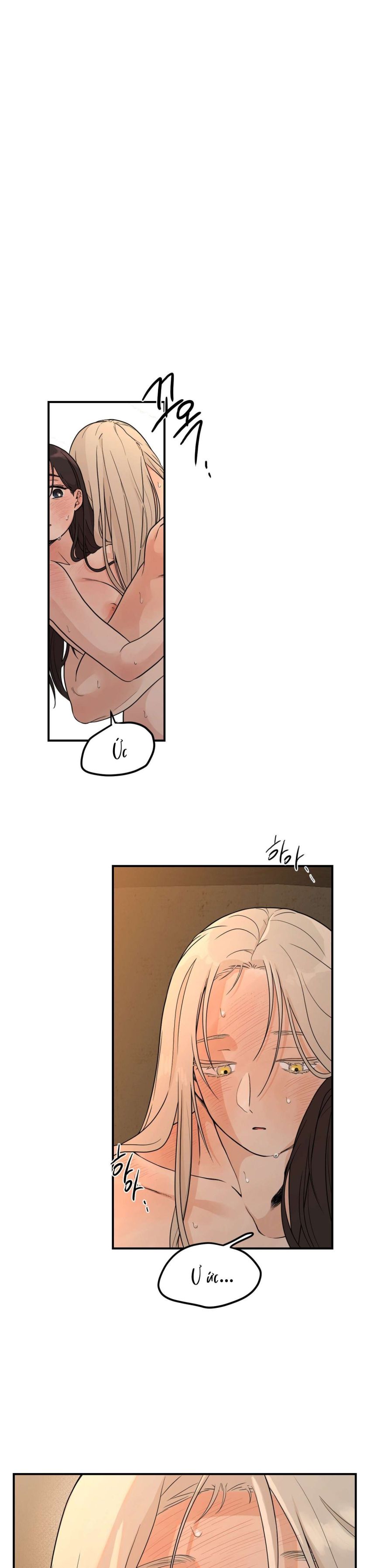[ 18+ ] Bibisea 