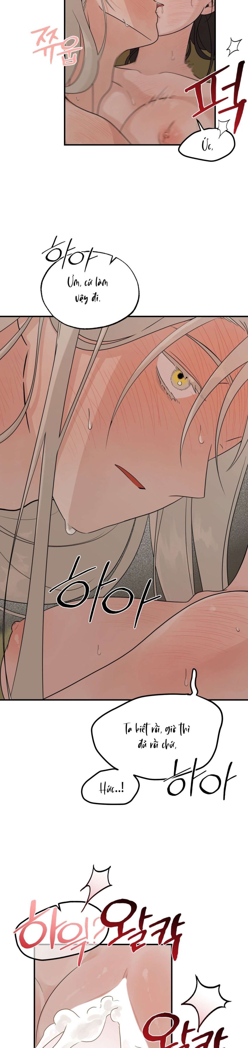 [ 18+ ] Bibisea 
