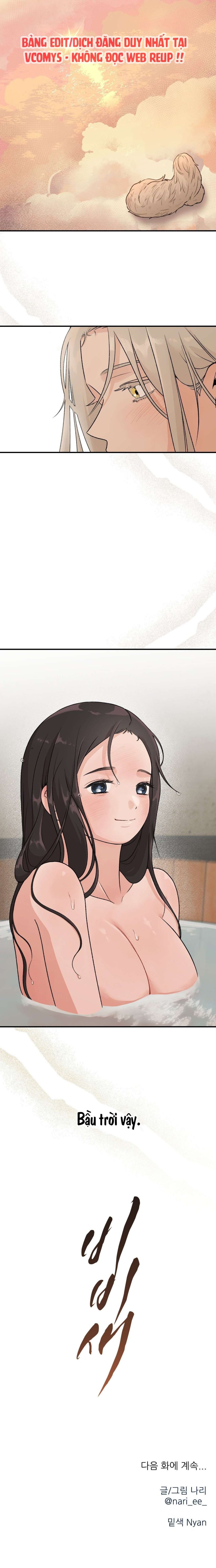 [ 18+ ] Bibisea 