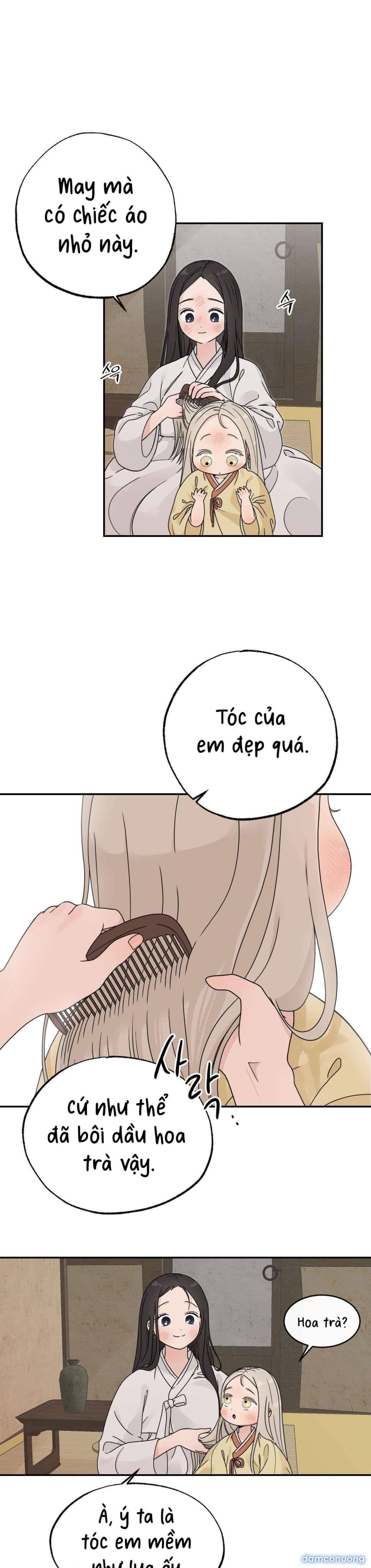 [ 18+ ] Bibisea 