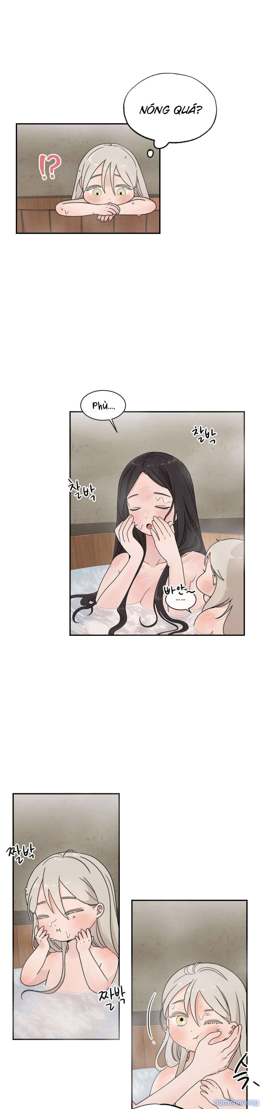 [ 18+ ] Bibisea 