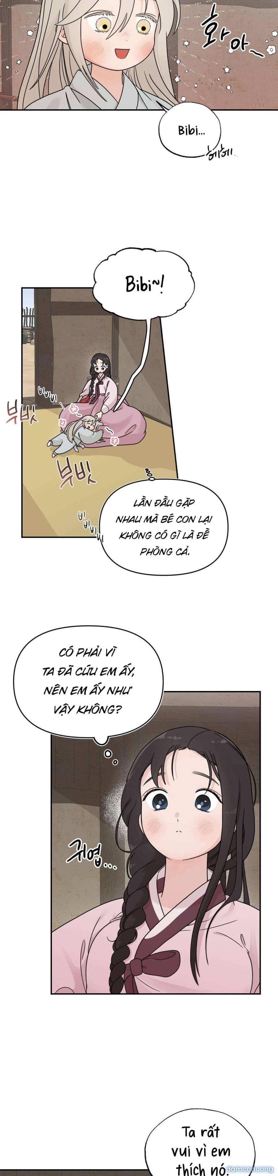 [ 18+ ] Bibisea 