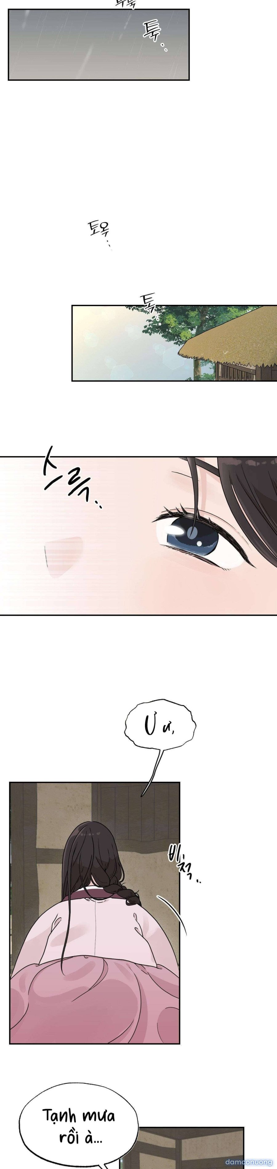[ 18+ ] Bibisea 