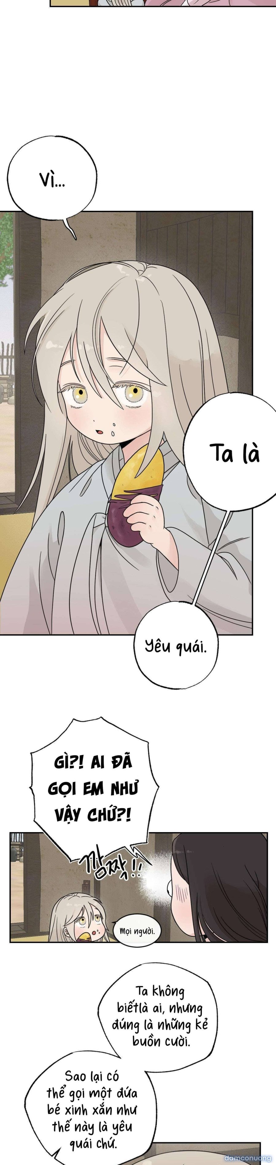 [ 18+ ] Bibisea 