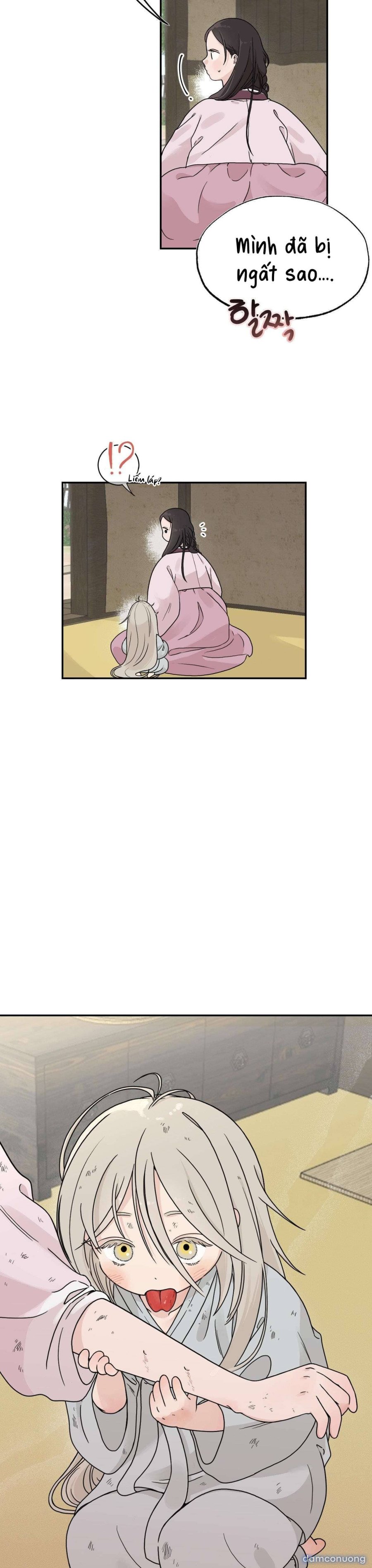 [ 18+ ] Bibisea 