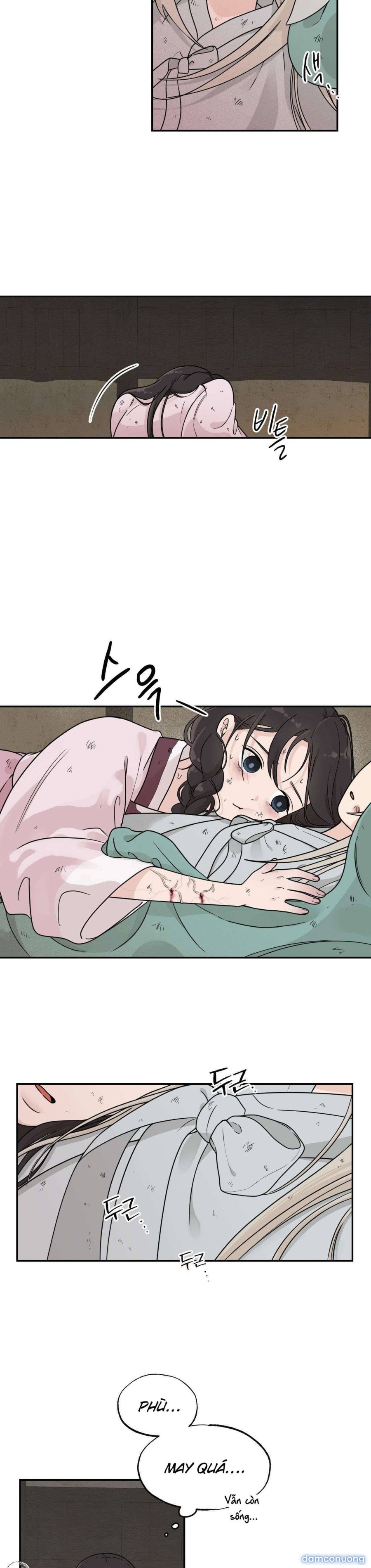 [ 18+ ] Bibisea 