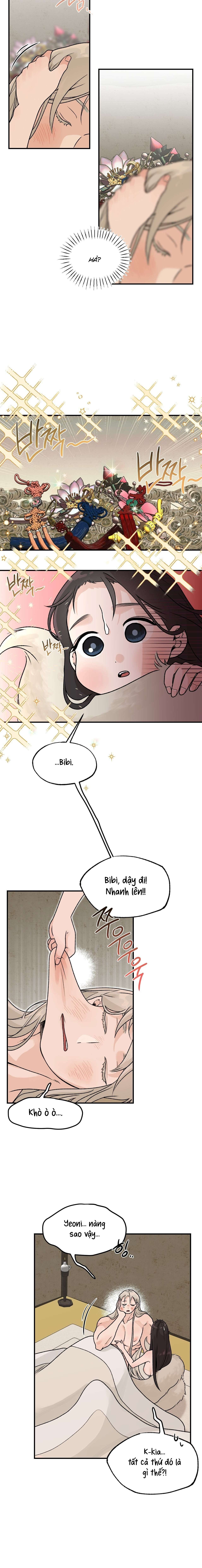 [ 18+ ] Bibisea 