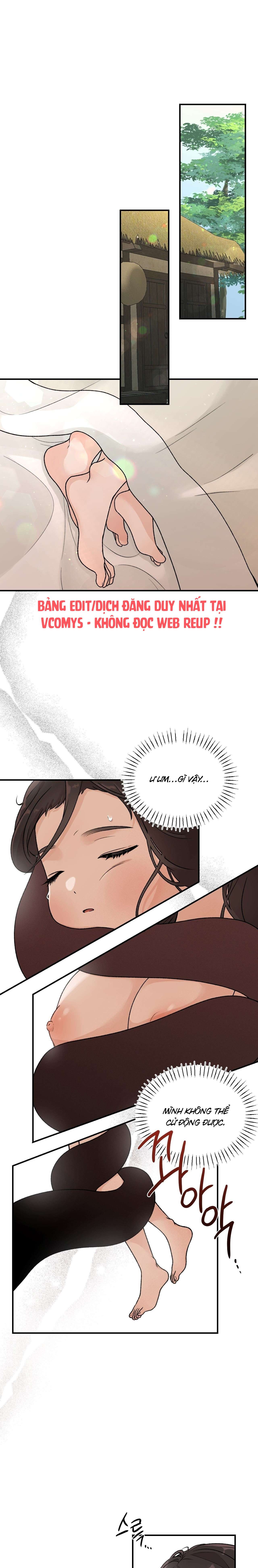 [ 18+ ] Bibisea 