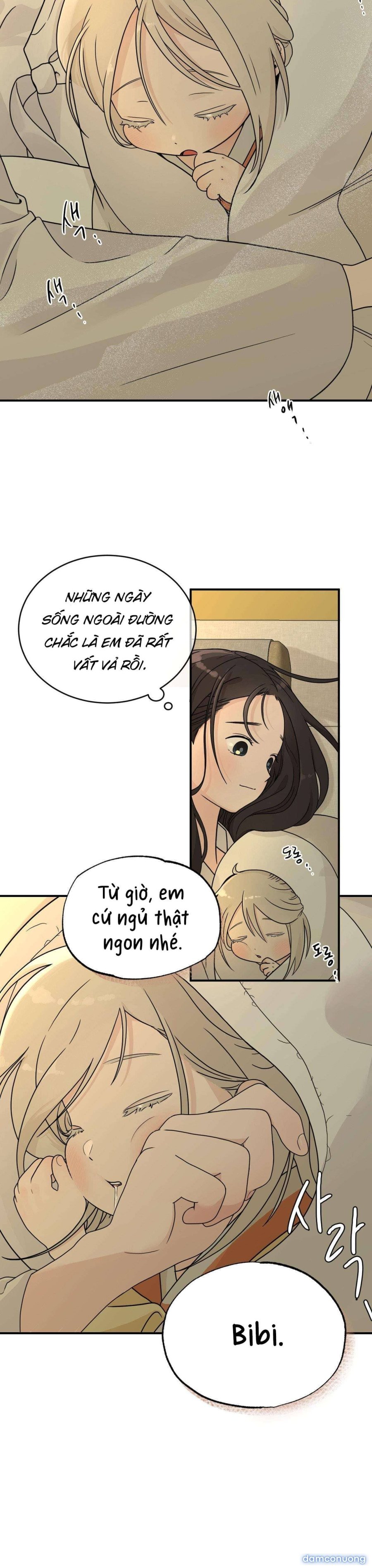 [ 18+ ] Bibisea 