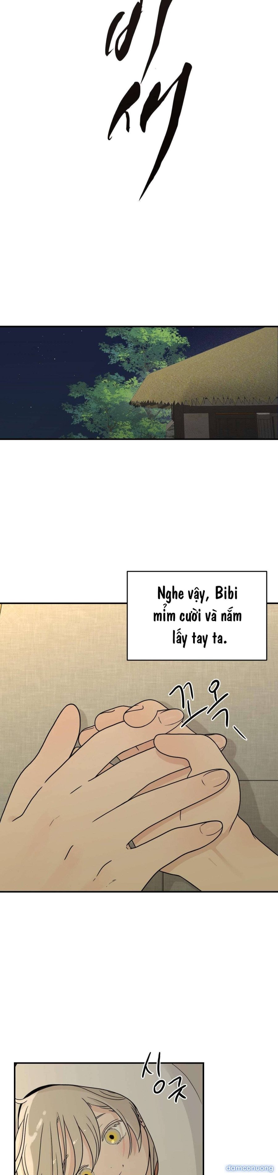 [ 18+ ] Bibisea 