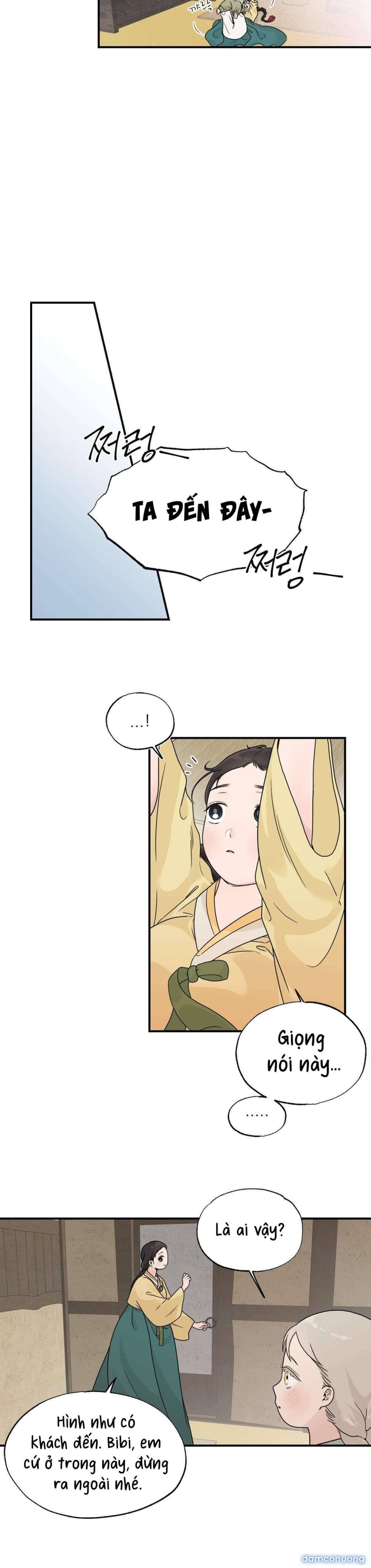[ 18+ ] Bibisea 