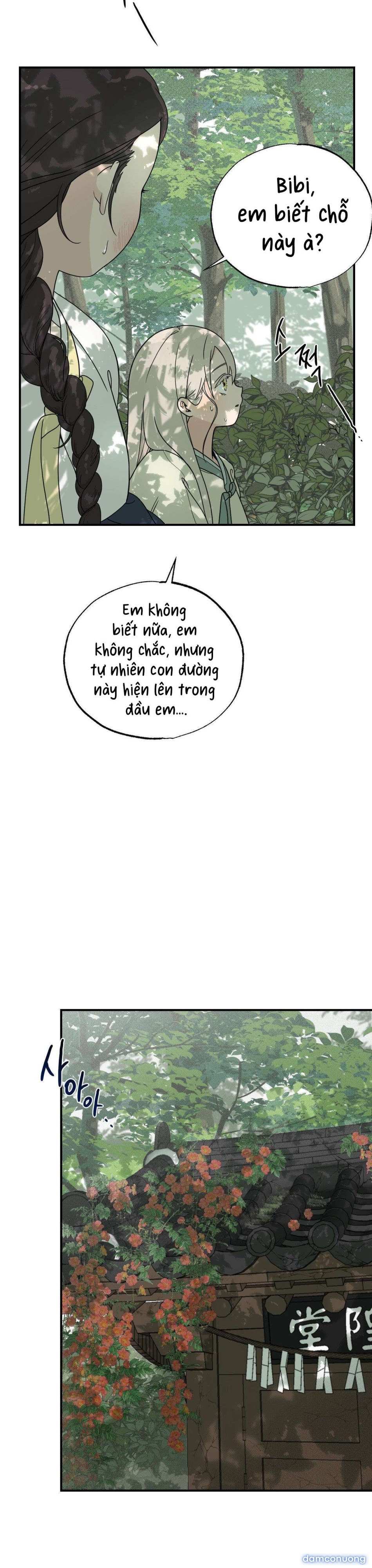 [ 18+ ] Bibisea 