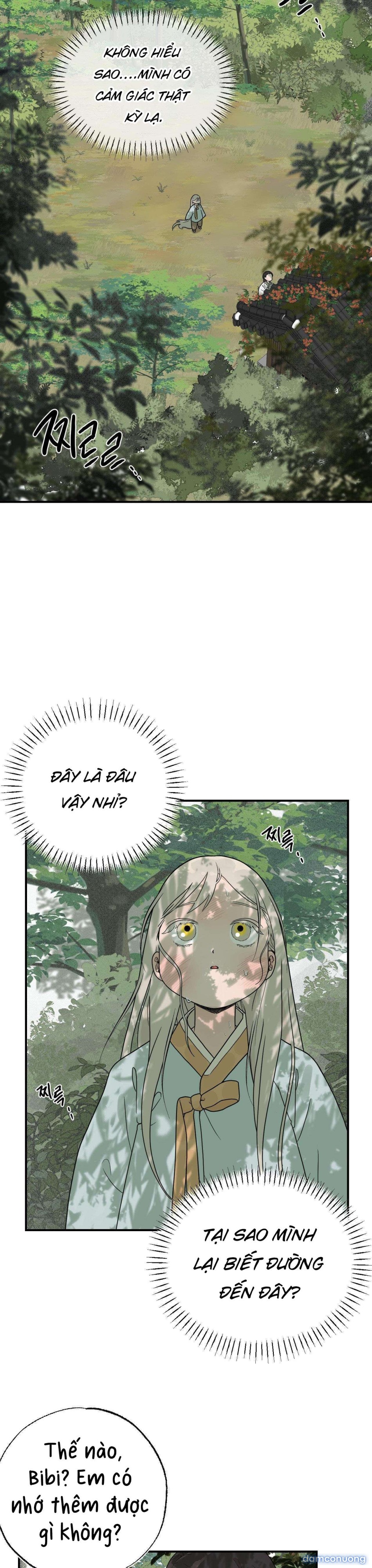 [ 18+ ] Bibisea 