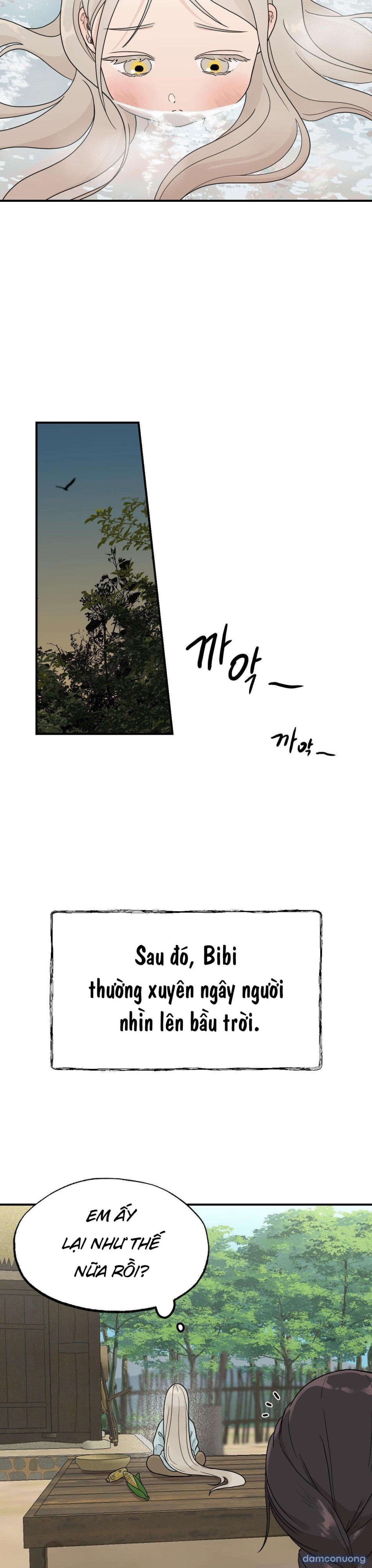 [ 18+ ] Bibisea 