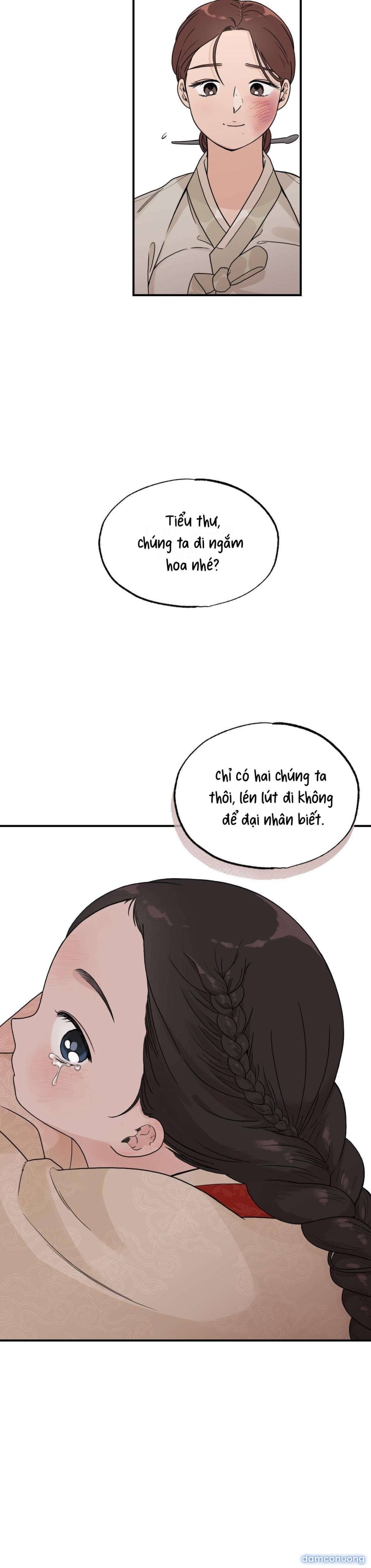 [ 18+ ] Bibisea 