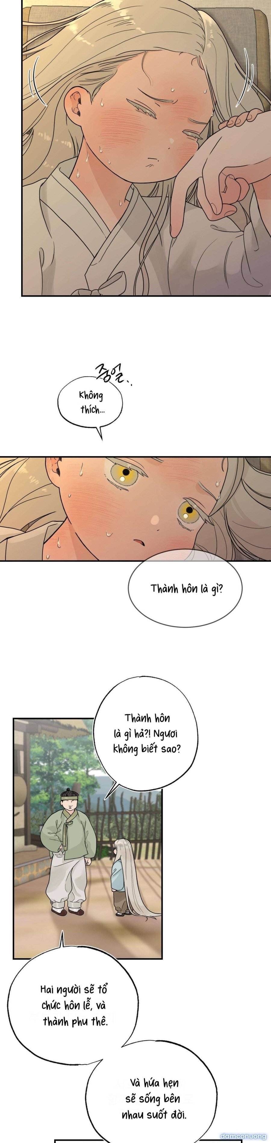 [ 18+ ] Bibisea 