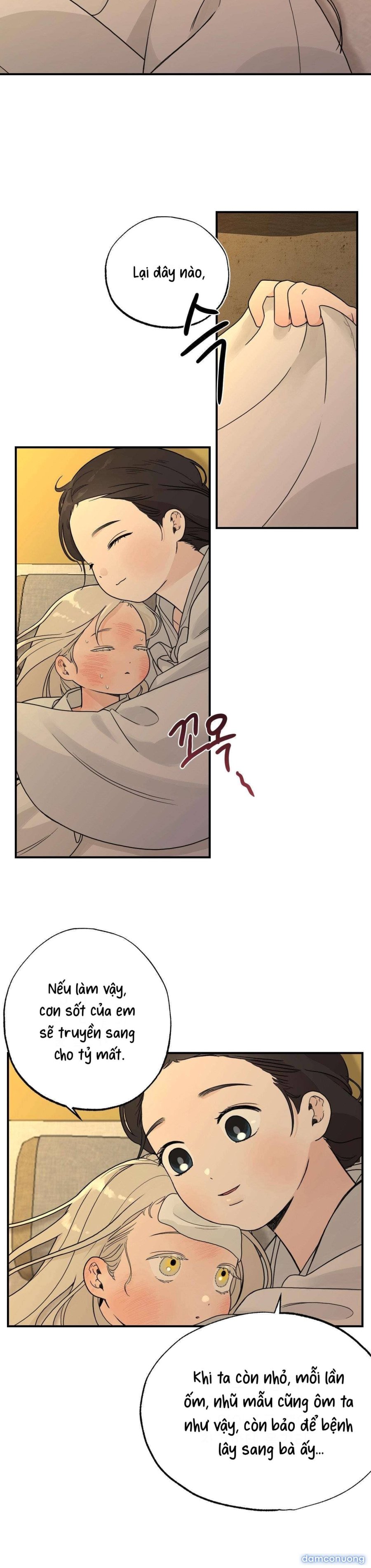 [ 18+ ] Bibisea 