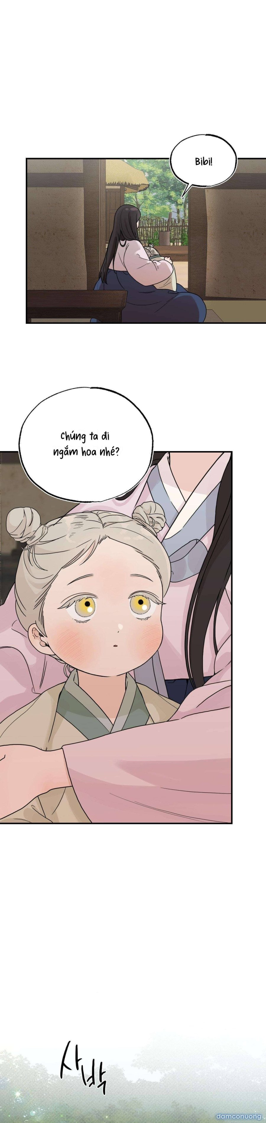 [ 18+ ] Bibisea 