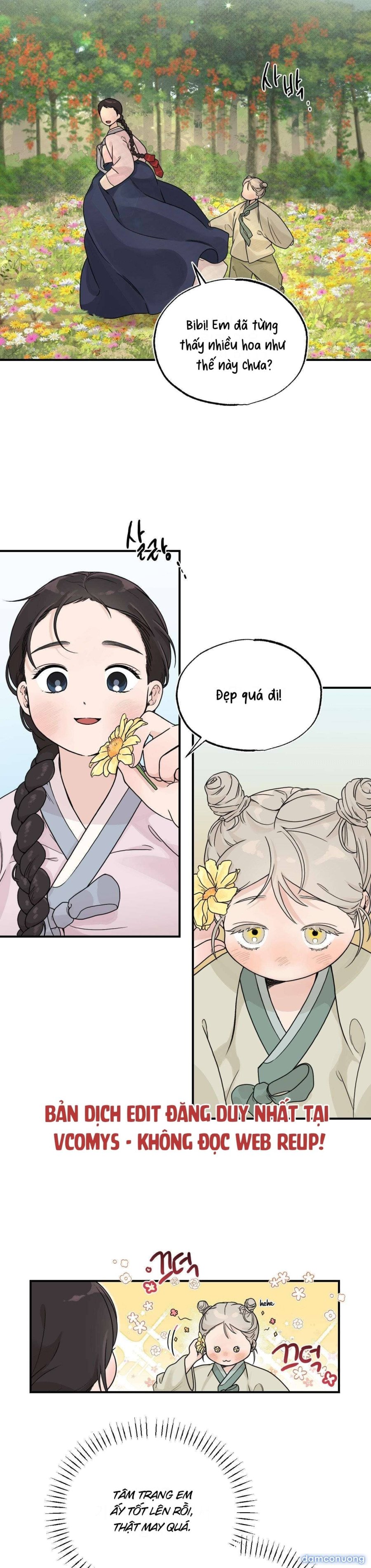 [ 18+ ] Bibisea 