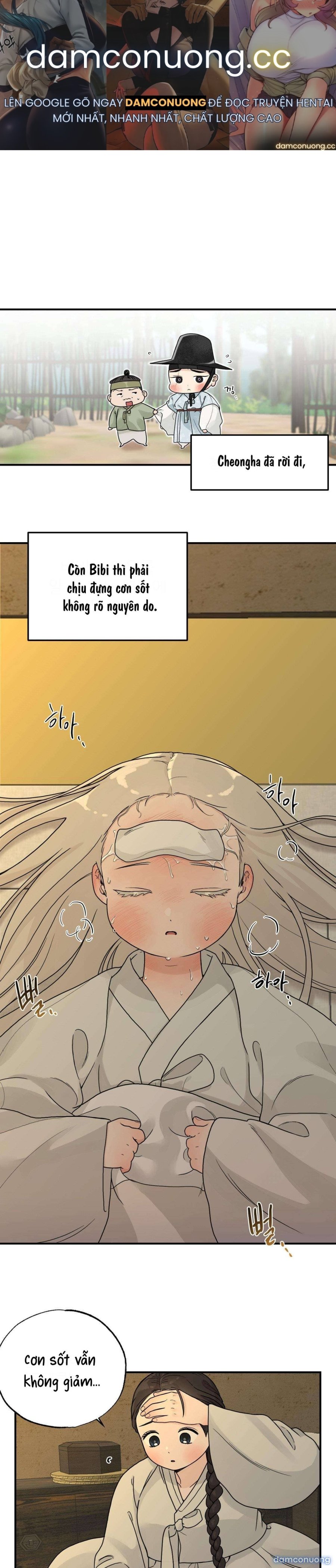 [ 18+ ] Bibisea 