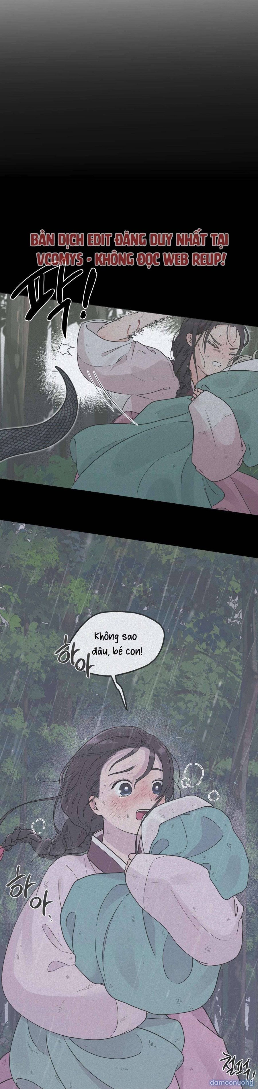 [ 18+ ] Bibisea 