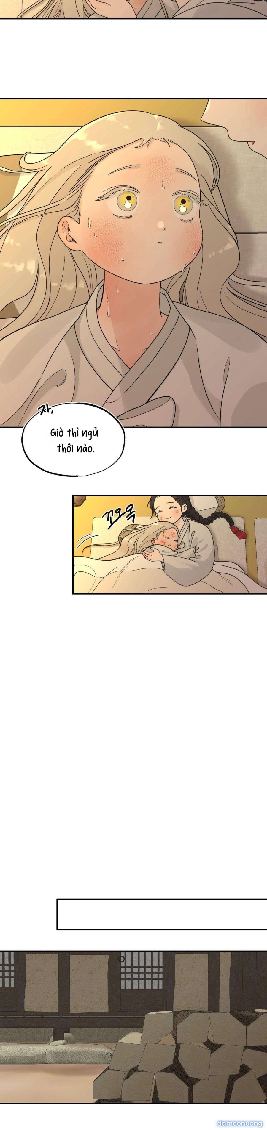 [ 18+ ] Bibisea 