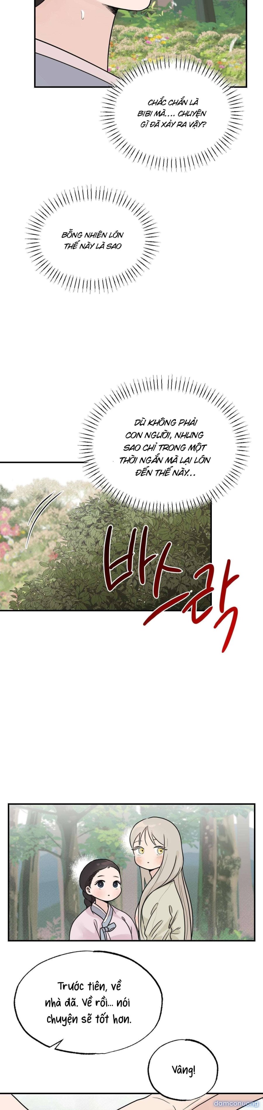 [ 18+ ] Bibisea 
