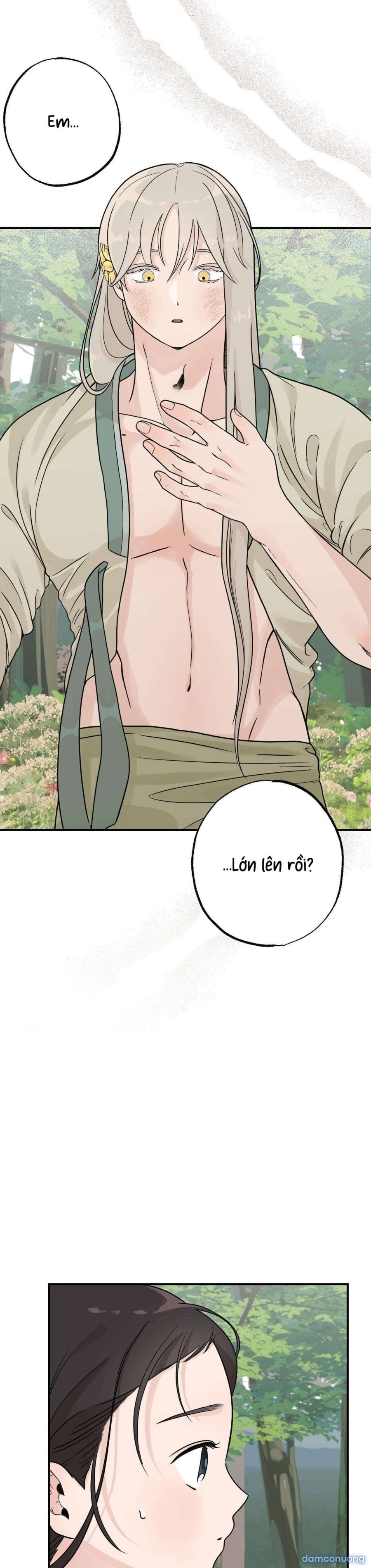 [ 18+ ] Bibisea 