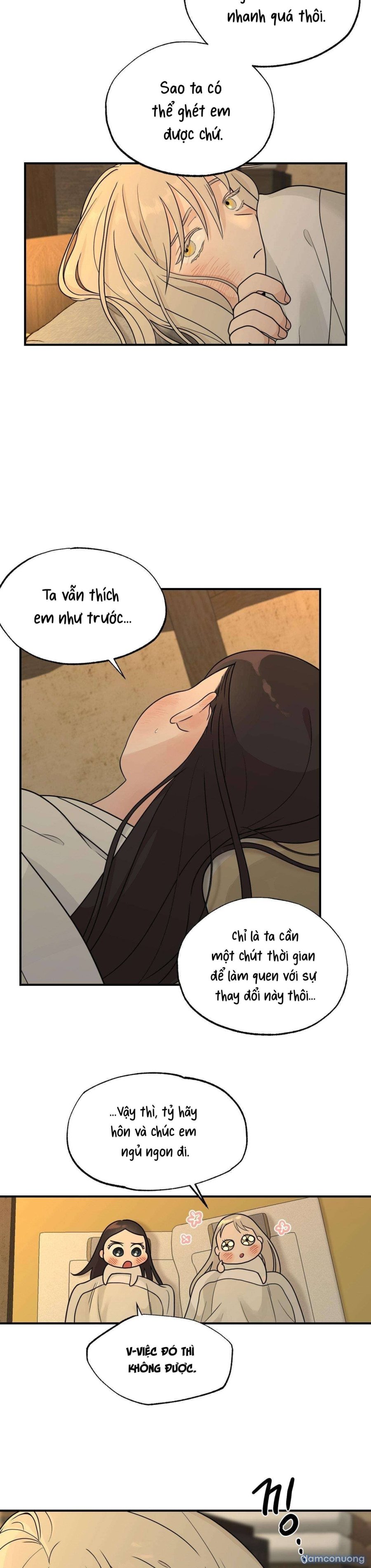 [ 18+ ] Bibisea 