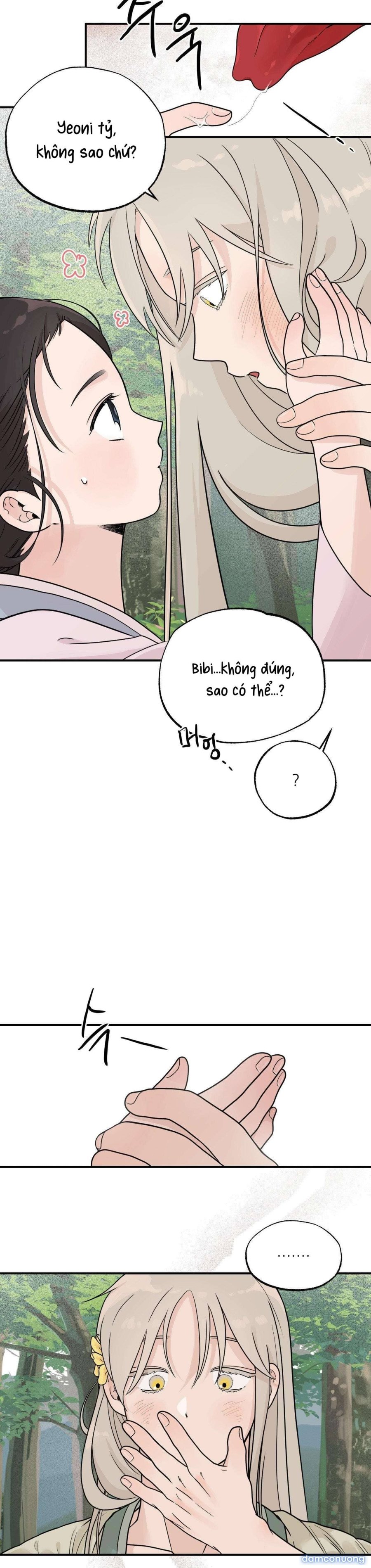[ 18+ ] Bibisea 