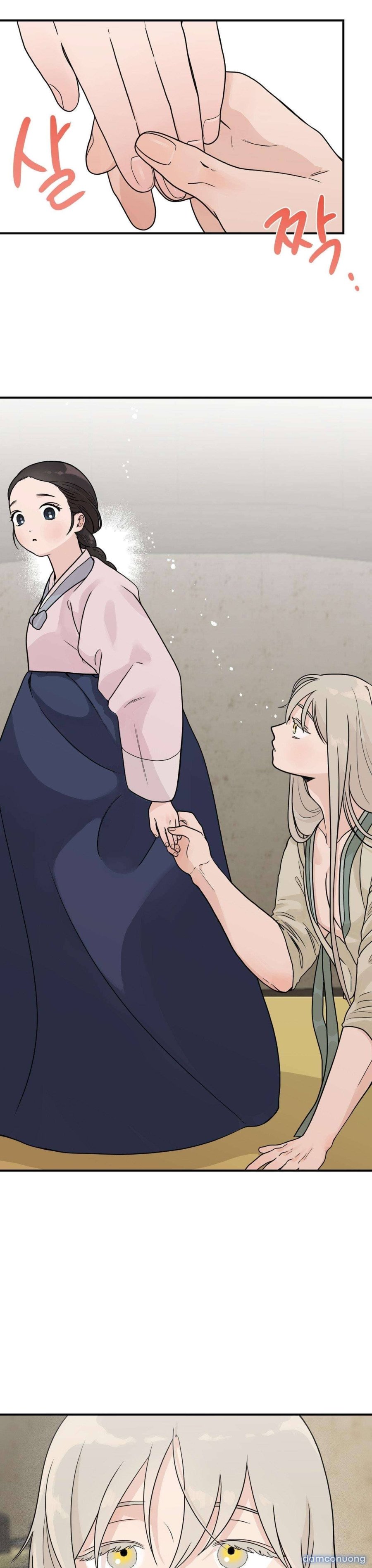 [ 18+ ] Bibisea 
