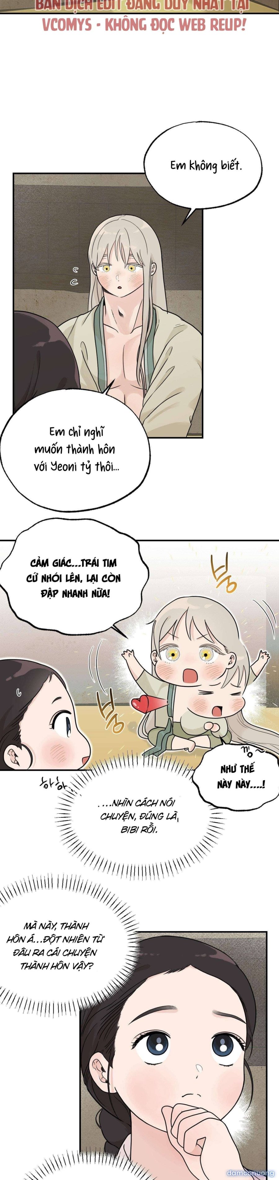 [ 18+ ] Bibisea 