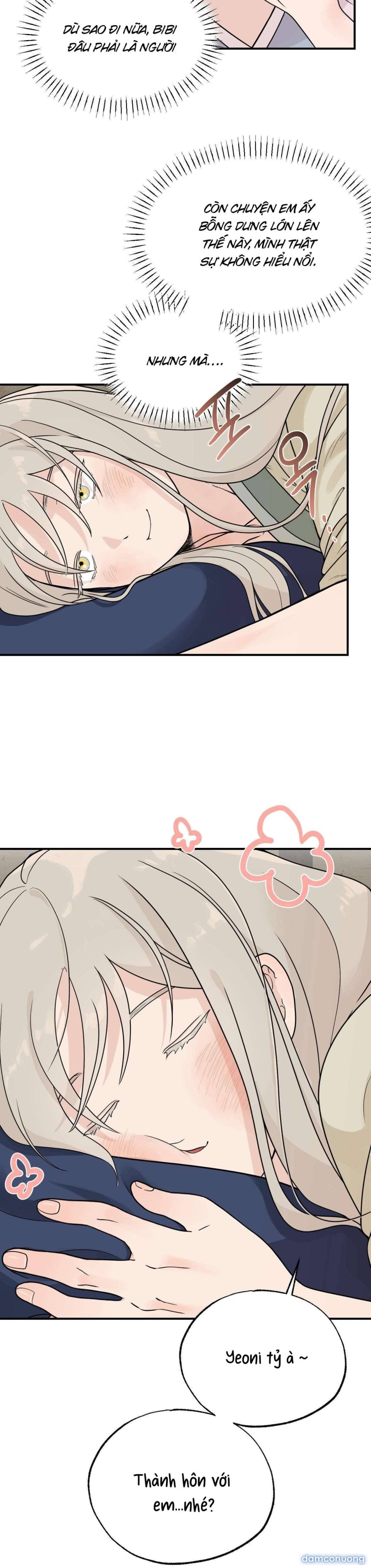 [ 18+ ] Bibisea 