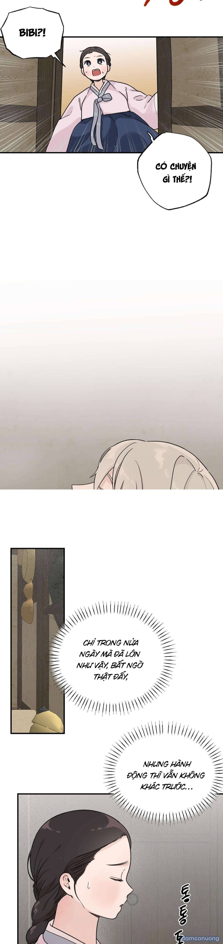 [ 18+ ] Bibisea 