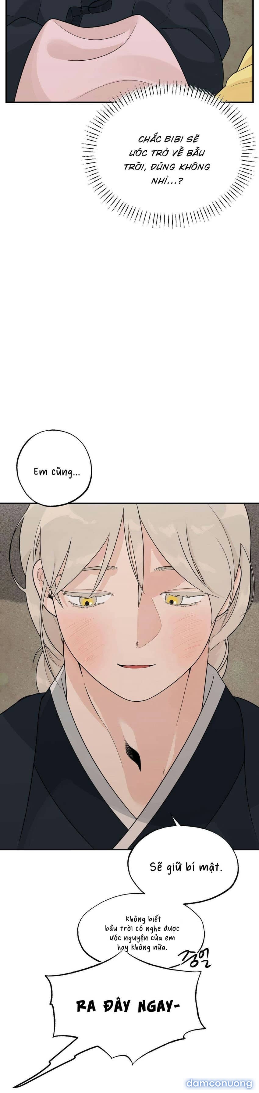 [ 18+ ] Bibisea 