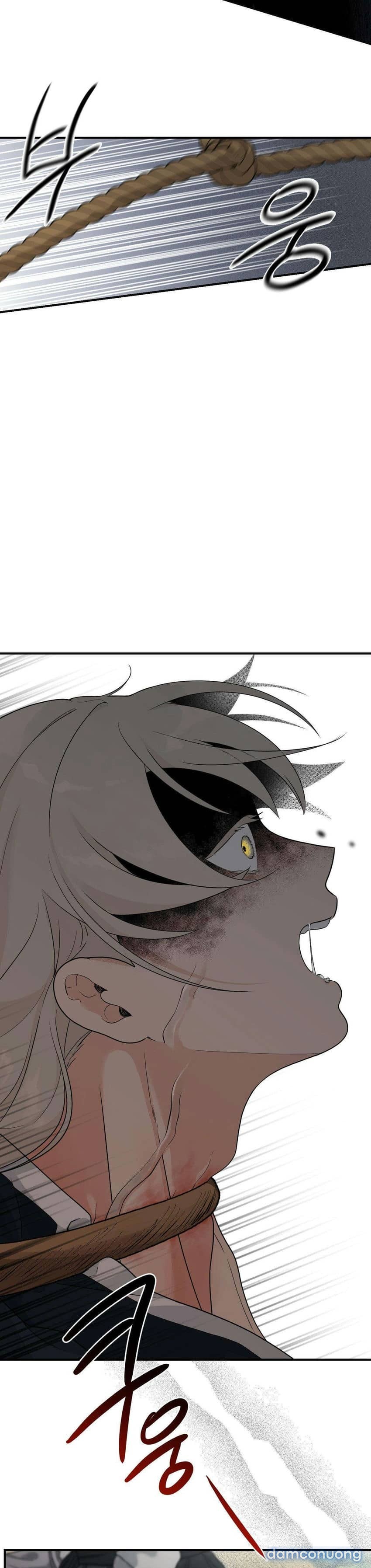 [ 18+ ] Bibisea 
