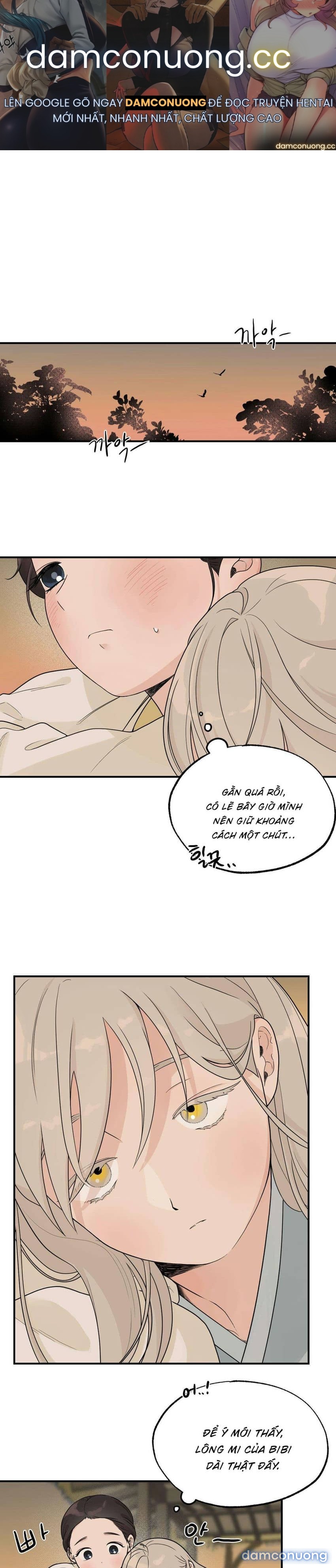 [ 18+ ] Bibisea 