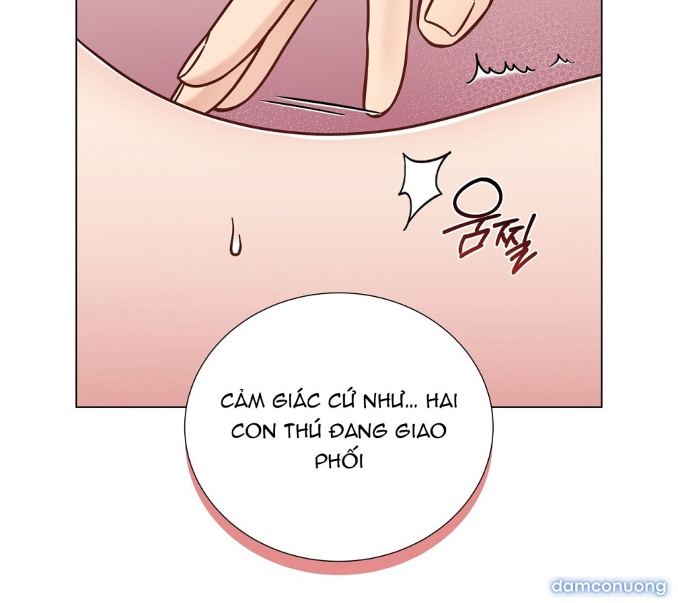 〖18+〗- Kiện Tôi Đi Nào, Bé Iu! 