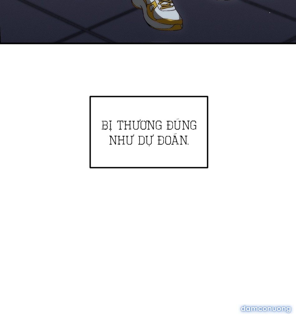 〖18+〗- Cú Ném Quyết Định Lãng Mạn 