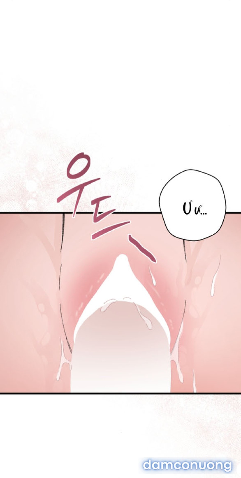 『18+』Tôi Không Phải Succubus Mà! 