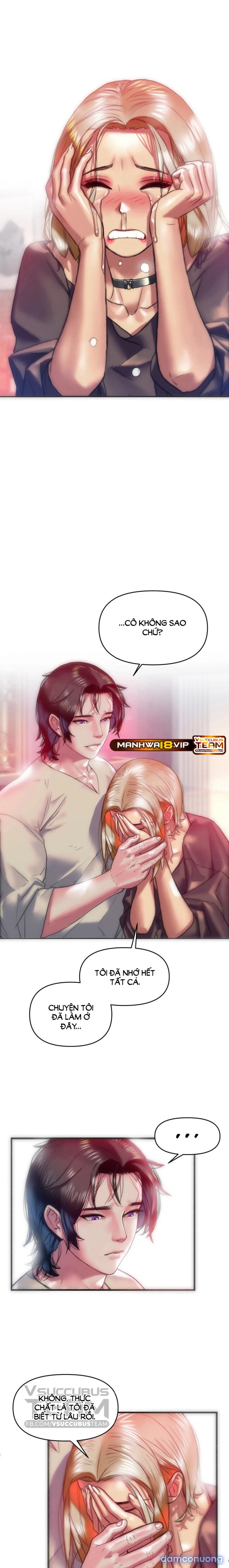 Những Cô Vợ Chiến Lợi Phẩm 