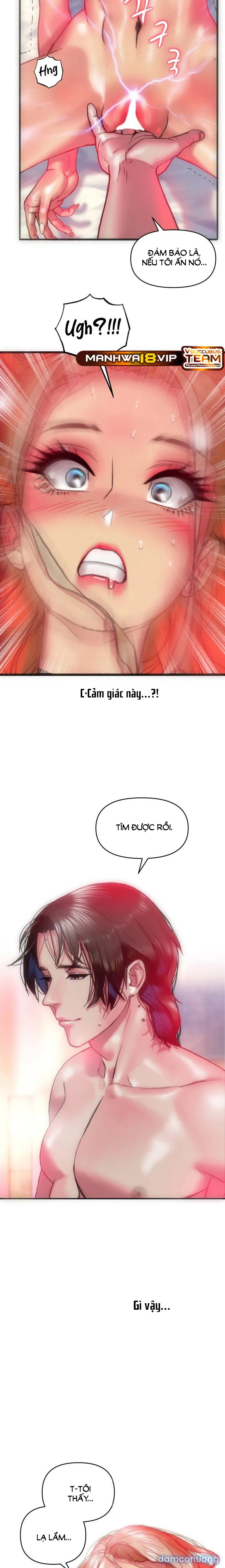 Những Cô Vợ Chiến Lợi Phẩm 